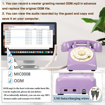 USB Compatible Telephone Guest Book Phone Recording Plastic For Baby Showers