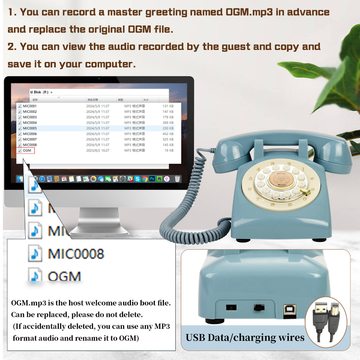 Event Guest Book Phone Recording Celebration Audio Guest Book For Wedding Diy