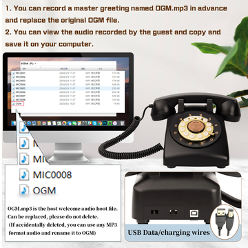 15 Hour Voice Guestbook USB Clear Sound All Occasions Phone Wedding Guest Book